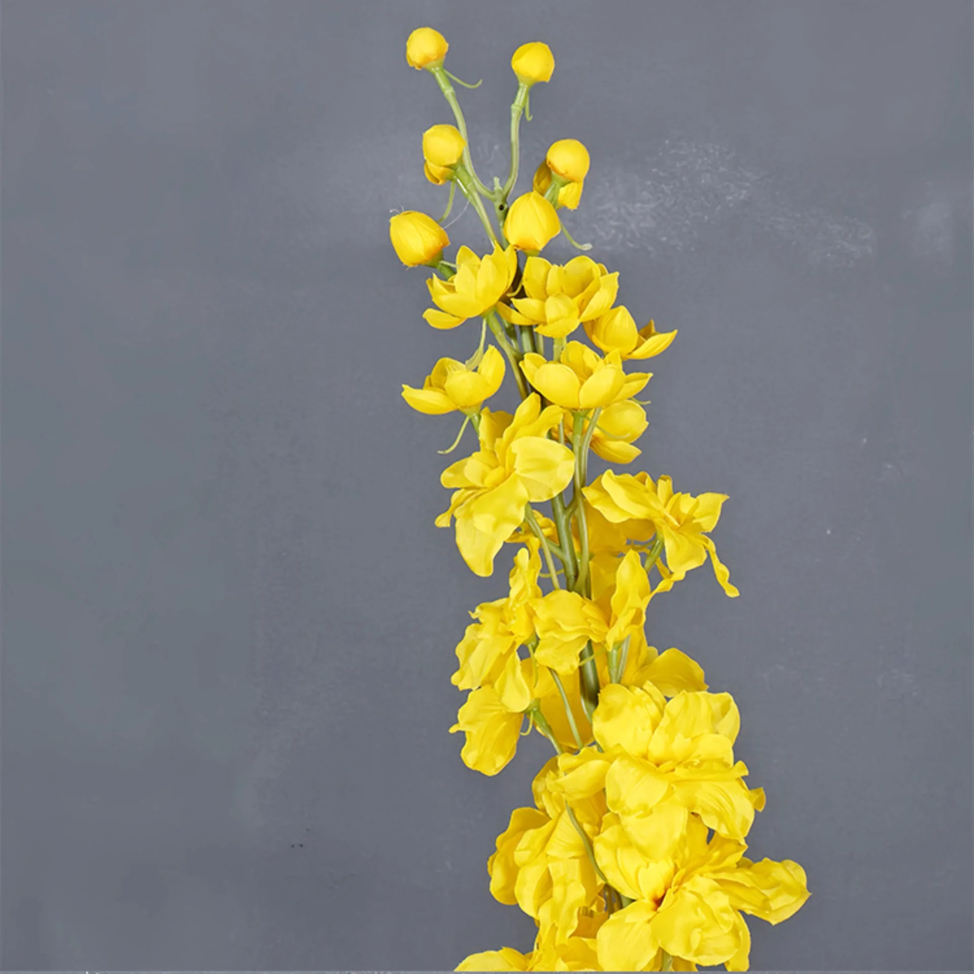 45-Zoll-Delphinium-Kunstseide  – Photography Hotel Bewertung und Preis