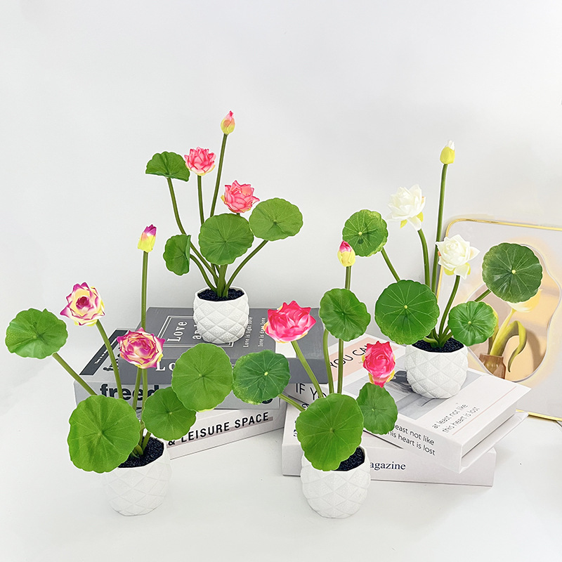 Mini-Simulations-Lotus-Topfpfl – Photography Simulator Bewertung und Preis