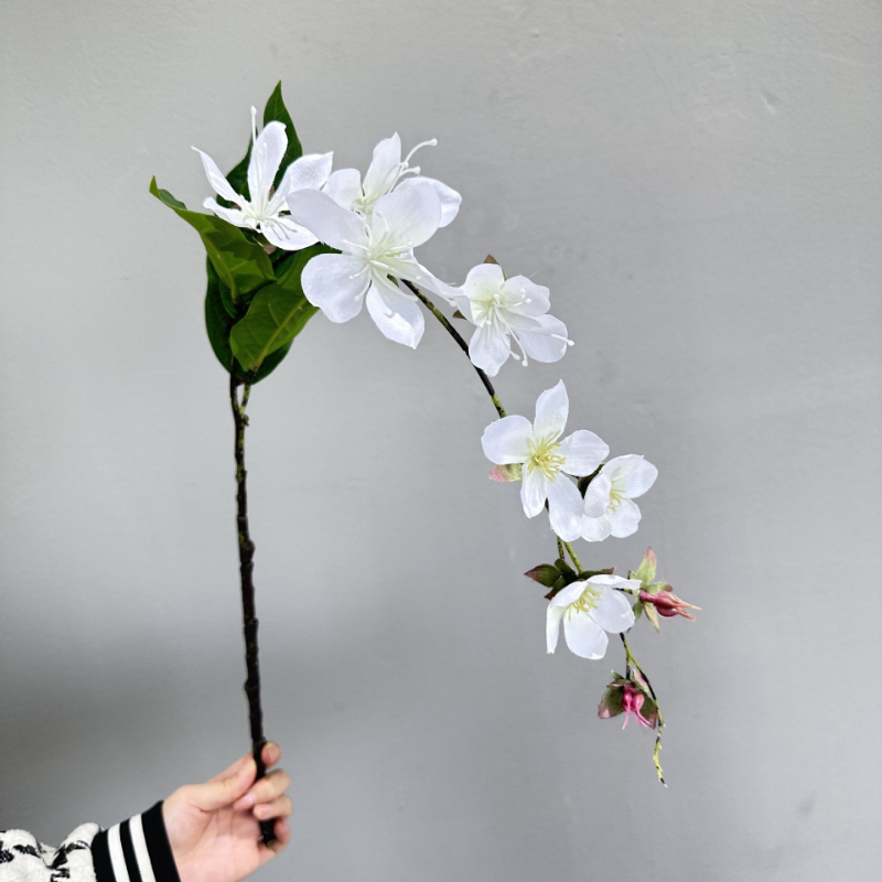 Künstliche hängende Jasminblum – Photography Hotel Bewertung und Preis