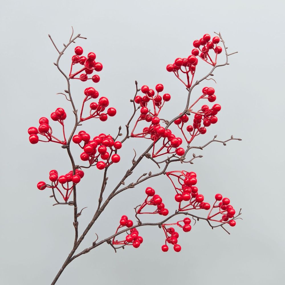 Dekorativer Simulations-Beeren – Photography Simulator Bewertung und Preis