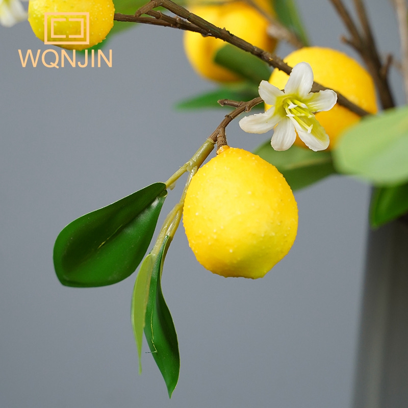 Zitronen zweige mit Frucht sim – Photography Simulator Bewertung und Preis